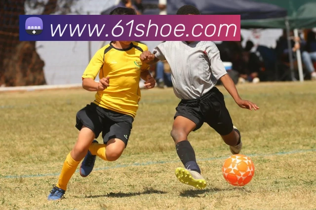 爱体育登陆地址APP 体育赛事宣传图